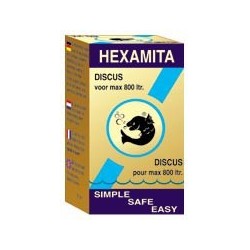 hexamita