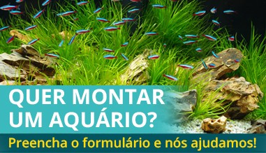 Orçamentos para montar um aquário!